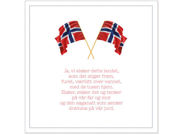 Serviett 17. mai Ja vi elsker... Norge Lunsjserviett 20 stk 3-lags 33x33cm 