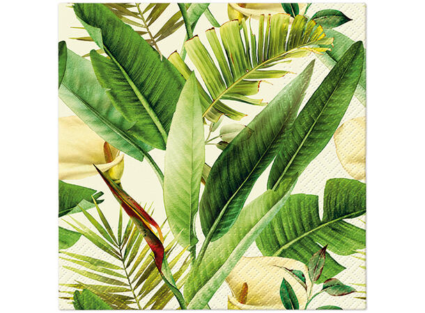Serviett Tropical Times Lunsjserviett 20 stk 3-lags 33x33cm 
