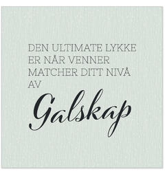 Serviett Ultimate lykke venner galskap Lunsjserviett 20 stk 3-lags 33x33cm