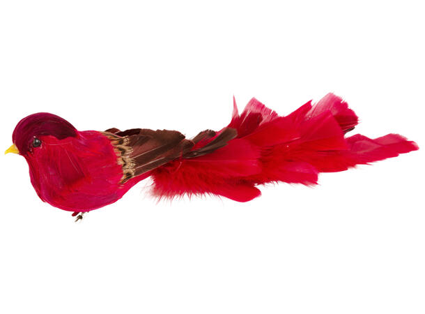 Fugl fjær 32cm m/klype rød 