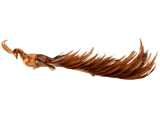 Fugl påfugl amber/brun m/fjær klype 45cm 