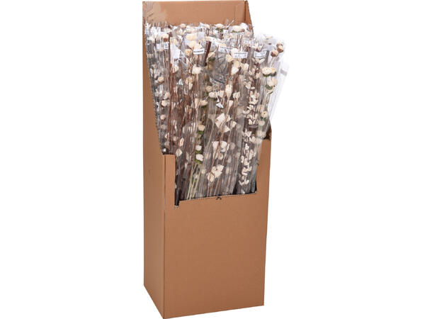 Kvist med blomster naturfarget 95-100cm 36 Stk pr display 