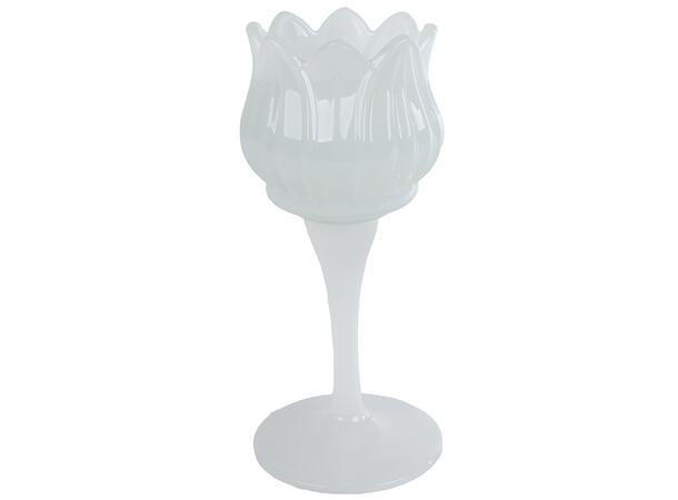 Telysestake tulipan glass hvit 7x7x16cm 