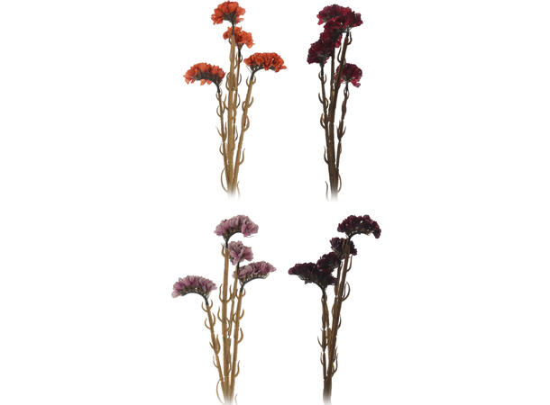 Blomst hanekam bruntoner h:62cm 4ass Forpk 24stk 