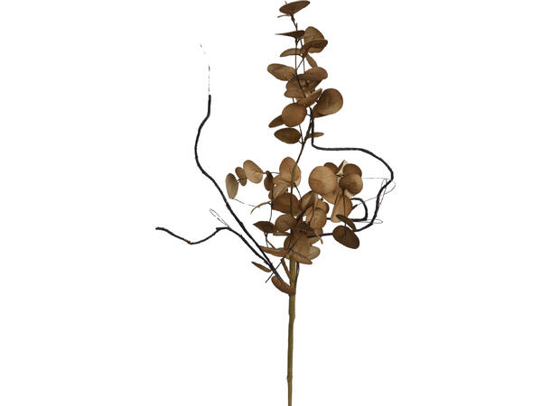 Kvist blader m/gren h:65cm brunlig 3ass 