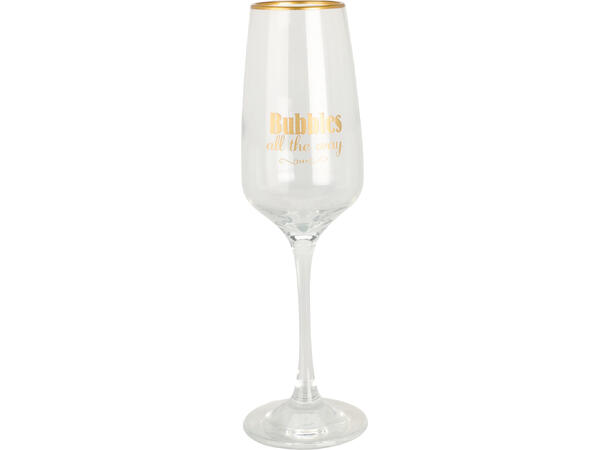 Glass champagne m/tekst h:22,5cm 3ass Forpk:6stk Rommer: 195ml 