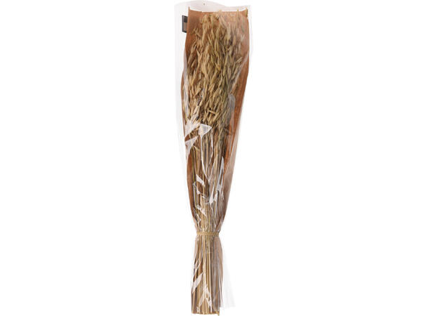 Kvist strå kvist tørket m/pose 55cm 4ass Vekt:100gram 