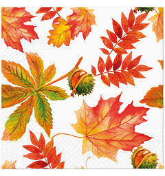 Serviett Fall Colors Lunsjserviett 20 stk 3-lags 33x33cm