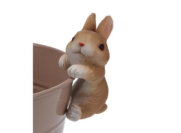 Kanin hare henge til kant 8,5cm 4ass 24 stk i displayboks Vekt:55gram 