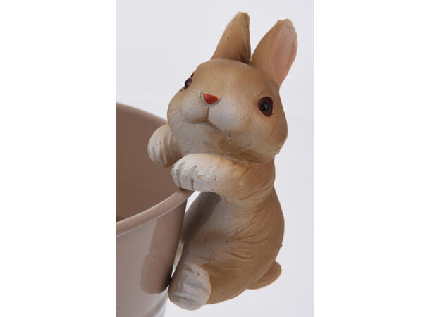 Kanin hare pynt til kant 8,5cm 4ass Display 24stk Vekt 55gram 