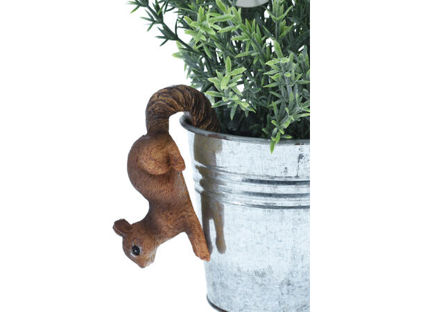 Dyr henge Ekorn Ugle Pinnsvin 8cm 3ass Display 12stk 